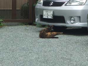 �オ��Ȃ���`�@�|�������肪�Ƃ��I