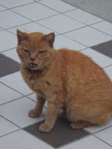 �������������@�H�H