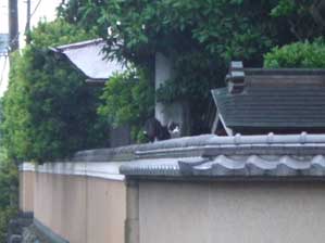 ������`�`