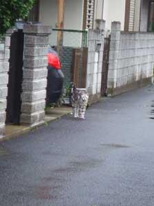 �҂��Ă��܂�����B�B�B