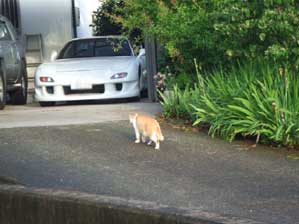 �O��ł���`