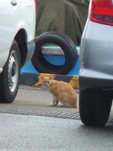 �������̑䎌����I