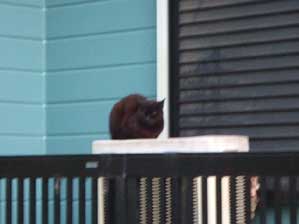 �N���Ă���Ȃ��񂾂�ˁ`