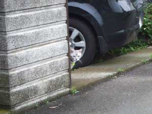 �҂��Ă��܂�����B