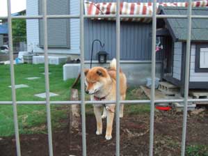 �Ƃꉮ�Ȃ񂩂���@�Ȃ��B