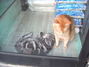 �E�@�͂��@�C�r�L�����邳���ā@�ׂŐQ�Ă����Ȃ���