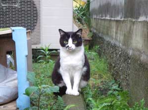 �ْ�����ȁ`