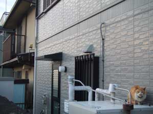 �Ƃ��X���Ă��Ă��邩��@�x���Ă����