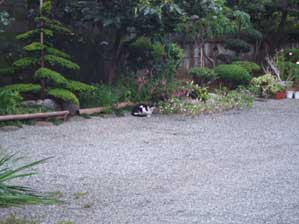 �L����`�`