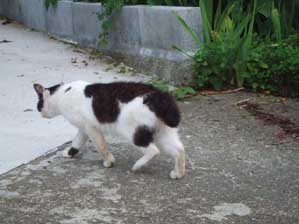 ���Č����Ă����ʂ��ȁ`�@���O��l��