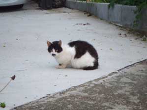 �����ł��邾���Ł@�s���������Ă��Ȃ����΂��肾����ȁI