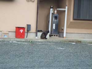 �Ă΂ꂽ����