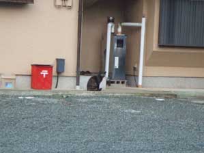 ��������I�@�킩��H