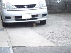 �悭�@��������!