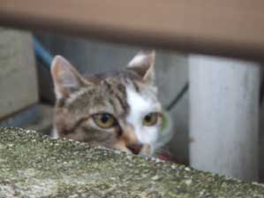 ����B����