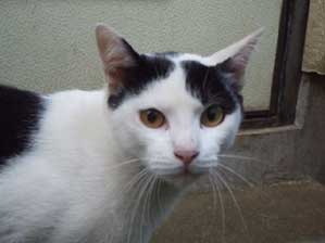 �|���Ȃ���I