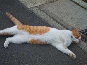 �����ꂽ�I