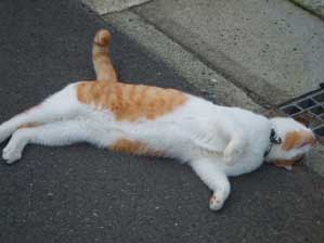 �����ƌ����āI