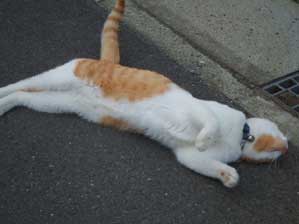 �܂������āI