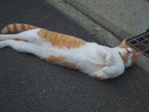 �C���������I