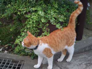 ����l�l���Ă�ł��邩�ȁH