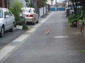 �������l�������I