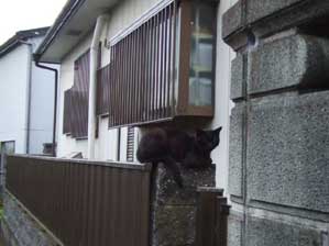 �����ŃS���X�I