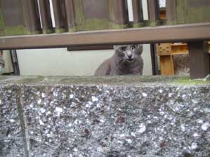 �Ȃ񂾂��ā`�`