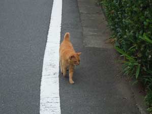 ���C�������Ă���