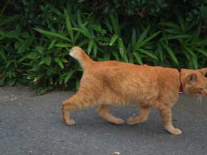 �܂�܂邨�Ȃ��̏��̎q