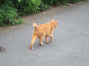 �y�[�^�y�^�@�s���[���s����