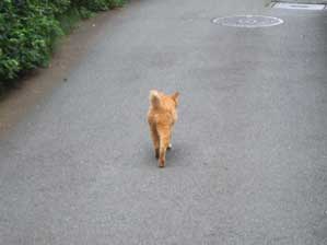 �j�[�M�j�M�@�u�[���u��