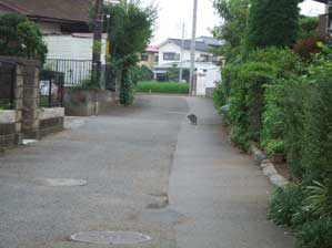 �����������Ȃ肻�����ȁ`