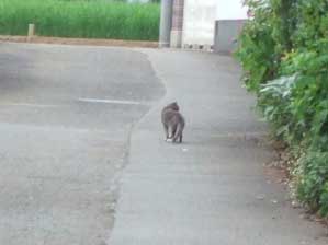 �ǂ��ŁA���������ȁ`