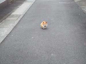 �z�������I