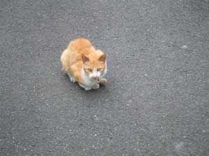 �����������Ȃ����I