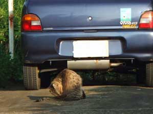 �Ă΂ꂽ�@�d���Ȃ�