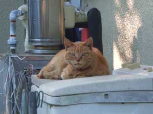 �����́@��������ł���`�`��B�B�B