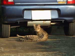 ���ꂾ������I