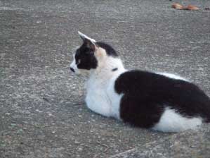 �������Ȃ��t���B�B�B