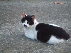 ���͂悤�B�B�B