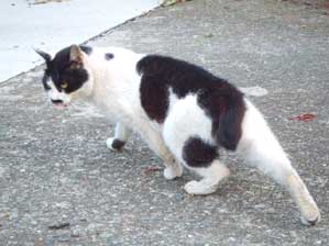 ���͂�����B�B�B