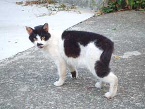 ���񂽂��@���邳�����炳�I