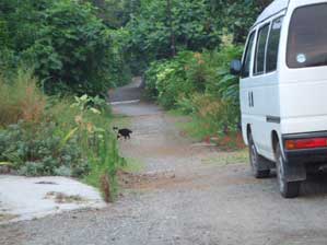 �l���ʐ^�B���ā`�`