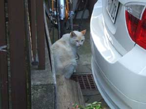 �݂��Ⴂ��`��B�B�B