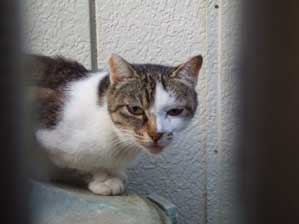 �ȁ`�񂩁@�܂�Ȃ���`