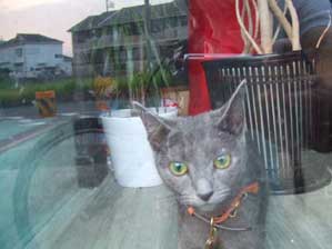 ���������I