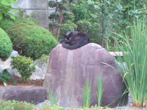 �j���j���I�@�E�@�@�΂ɂȂ�B