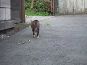 �l���@�y�����@������邳�`��