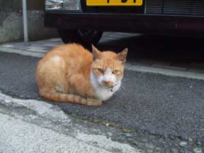 �����Ȃ����`